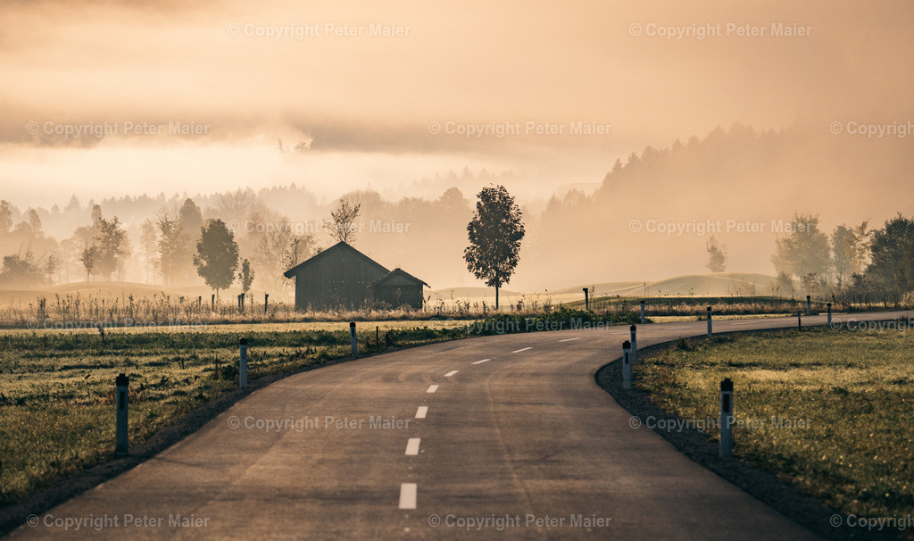 Lavant_Herbst_2023-17 | piet_flosse