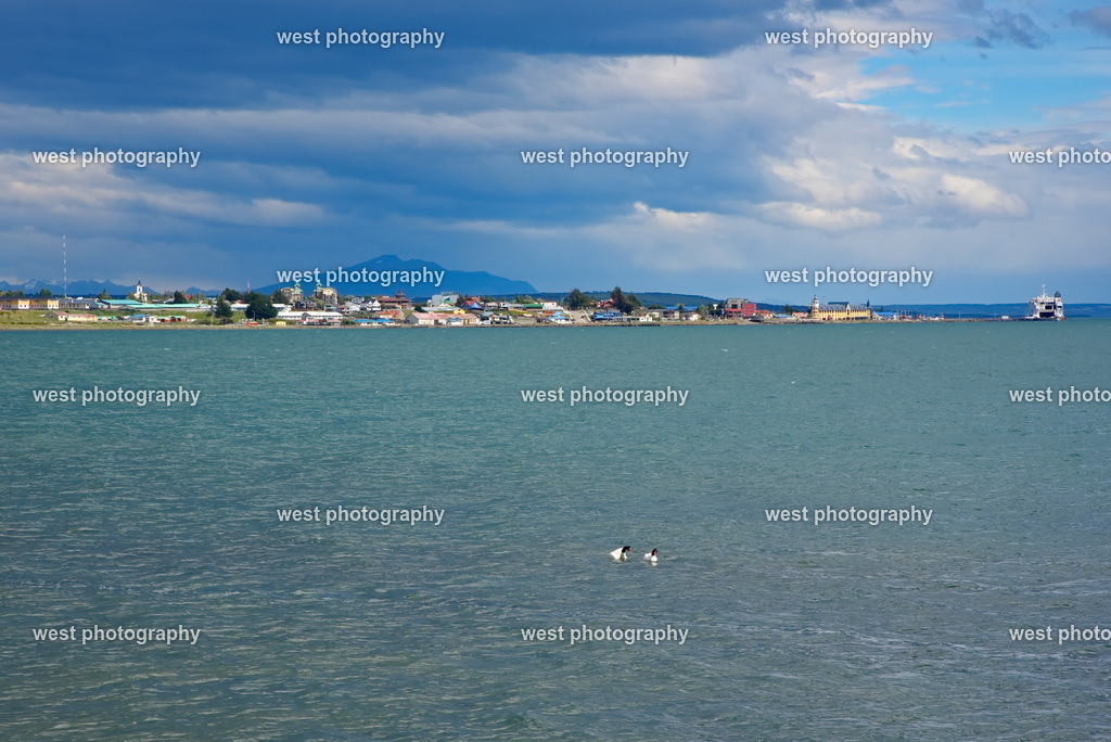 Puerto Natales City - CHI 2014 | west photography - Realisiert mit Pictrs.com