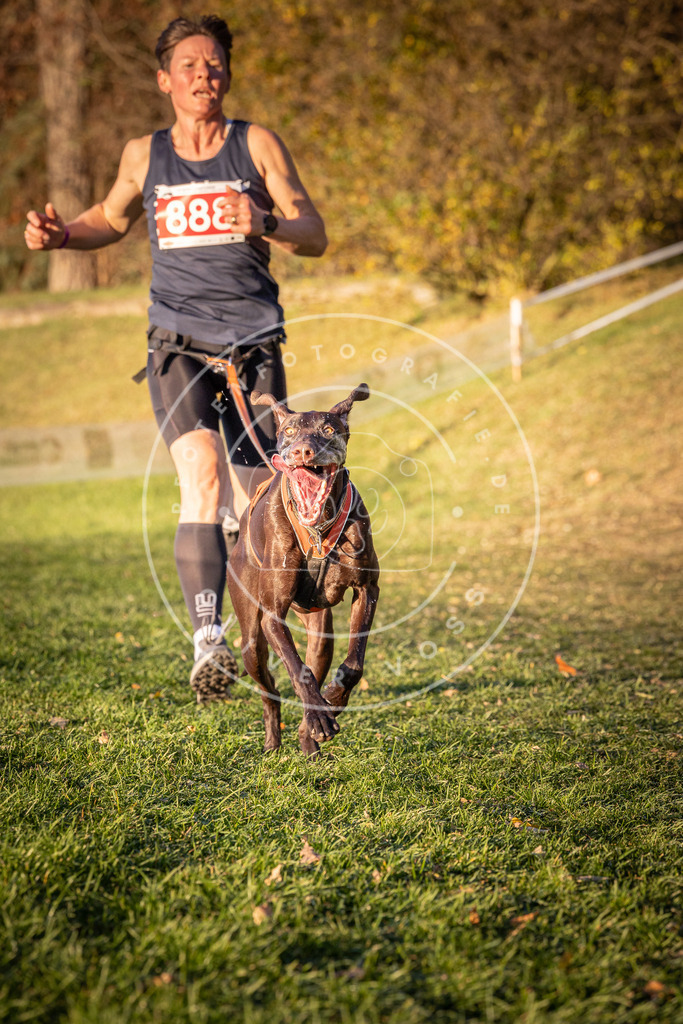 CaniXpix_0L8A1237 | Hundefotografie, Tierfotograf, Pfotenfotografie, Fotoshooting Hund, Hunde Portrait, Hundesport, Hundeportraits, Heideshooting, Hunde, Sportfotograf, Hundefotograf, Turnierhundsport, THS,  - Realisiert mit Pictrs.com