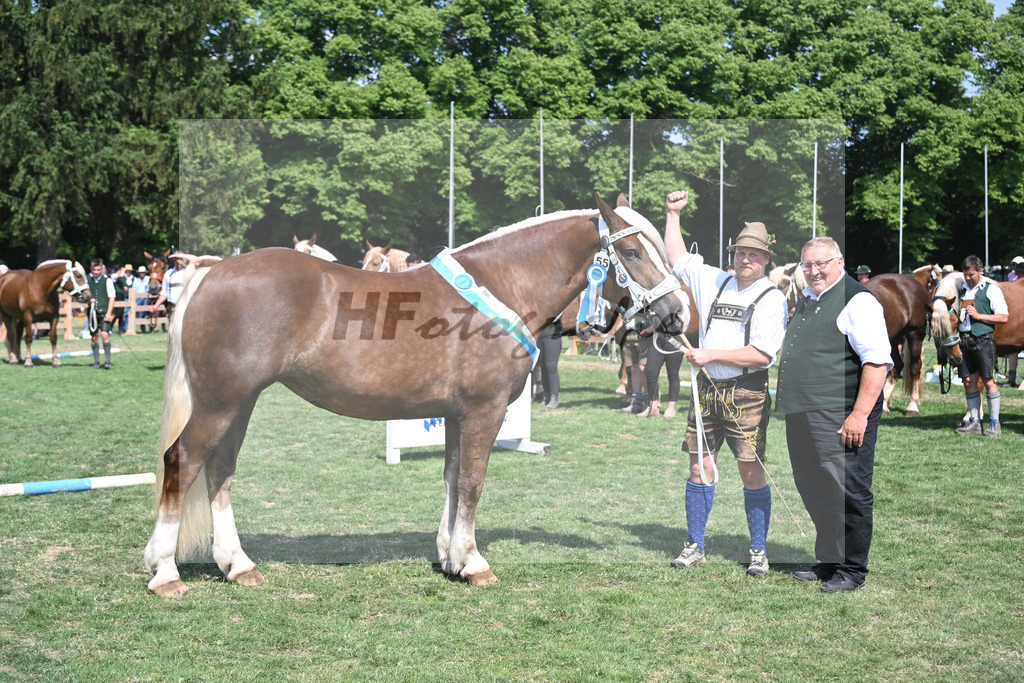 Kat-Nr. 55 Esmiralda_Gilg_20231219 | hf-fotografie - Realisiert mit Pictrs.com