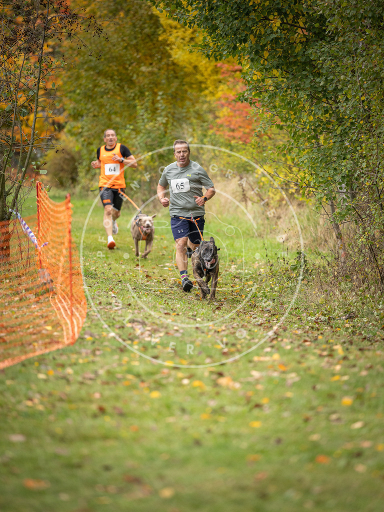 Pfotenfotografie_DV3A2703 | Hundefotografie, Tierfotograf, Pfotenfotografie, Fotoshooting Hund, Hunde Portrait, Hundesport, Hundeportraits, Heideshooting, Hunde, Sportfotograf, Hundefotograf, Turnierhundsport, THS,  - Realisiert mit Pictrs.com