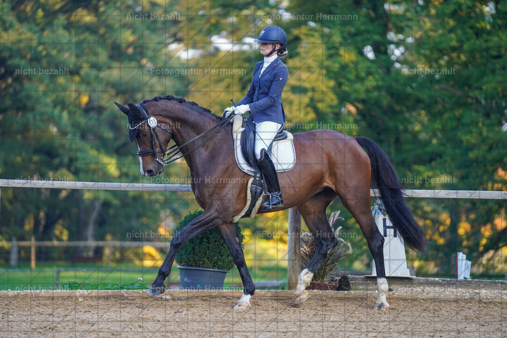 20221007-FAH00486 | Diessen am Ammersee, 2022, Dressur- und Springturnier, Reitsportbilder, Turnierfotografen Bayern, Pferdefotografen, Fotoagentur Herrmann, Turnierbilder