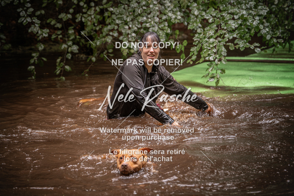 nelerasche_Wingst_Sa1330-1400_28 | nelerasche