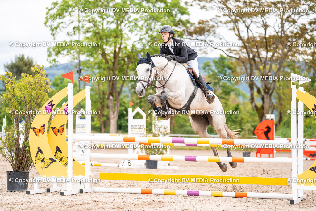 Eppelheim Tag 1-45 | dv-media-shop - Realisiert mit Pictrs.com