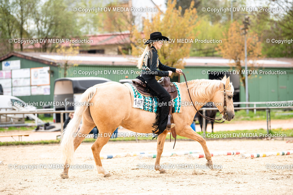 Heiligenwald Tag 1-225 | dv-media-shop - Realisiert mit Pictrs.com