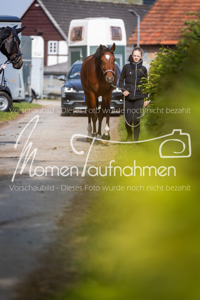 HH-Randmomente-003 | MomenTaufnahmen Pferdesportfotos