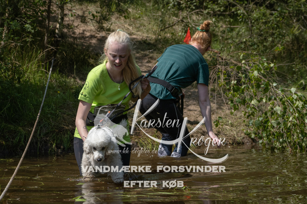 1410DKK990003 | kk-dogfotos