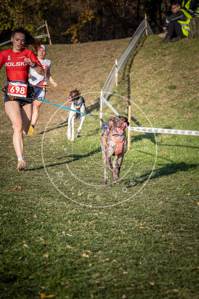 CaniXpix_0L8A9490 | Hundefotografie, Tierfotograf, Pfotenfotografie, Fotoshooting Hund, Hunde Portrait, Hundesport, Hundeportraits, Heideshooting, Hunde, Sportfotograf, Hundefotograf, Turnierhundsport, THS,  - Realisiert mit Pictrs.com