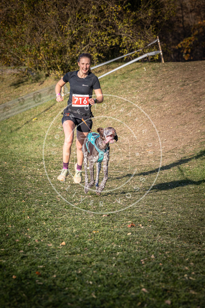 CaniXpix_0L8A9649 | Hundefotografie, Tierfotograf, Pfotenfotografie, Fotoshooting Hund, Hunde Portrait, Hundesport, Hundeportraits, Heideshooting, Hunde, Sportfotograf, Hundefotograf, Turnierhundsport, THS,  - Realisiert mit Pictrs.com