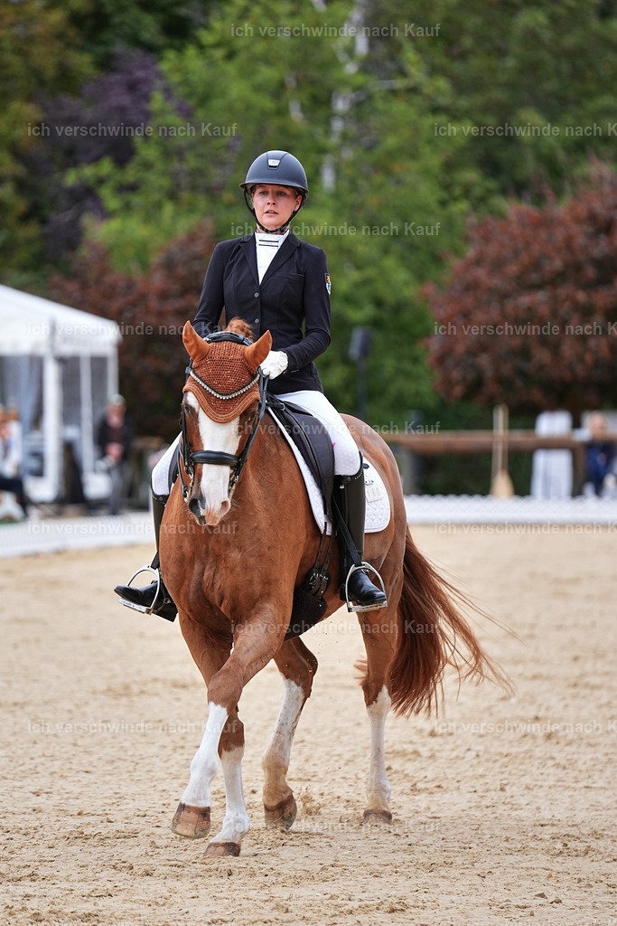 04_1-180-Dressur M__ -Marixx-2775 | working equitationturnier fotograf videograf stoibphotography marixx film working equitation deutschland reitsport turnierfotografie eventfotografie equestrian events