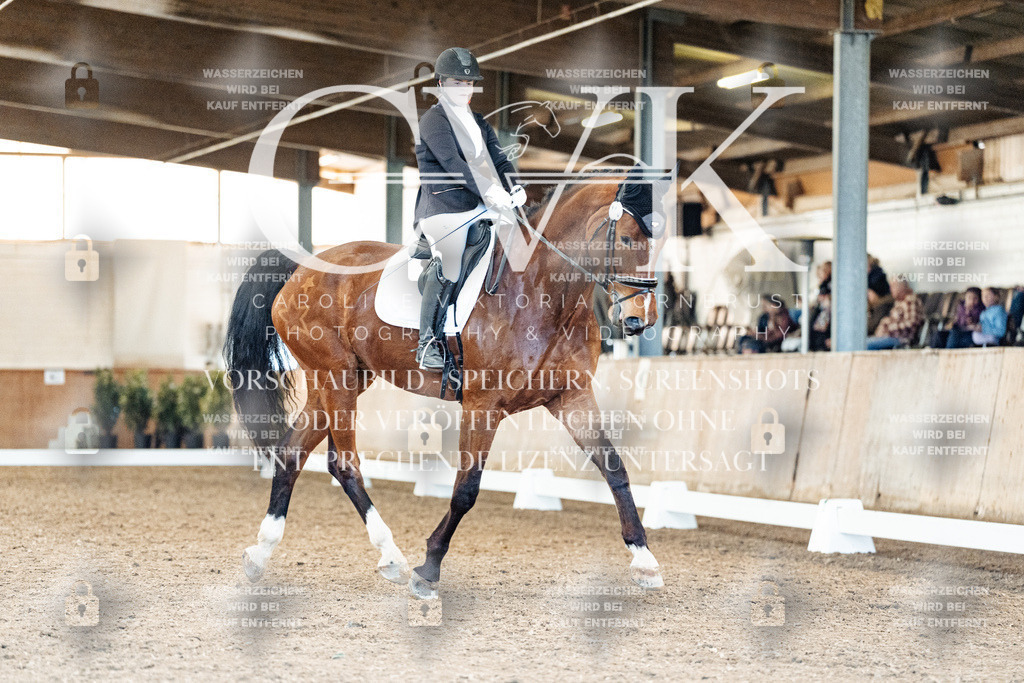 CK909177 | Turnierfotografie Pferdefotografie Trier Rheinland-Pfalz Pferdesport Reitsport Tierfotografie Sportfotografie Pferdevideo Pferdevideografie Equestrianvideography equestrianphotography  - Realisiert mit Pictrs.com