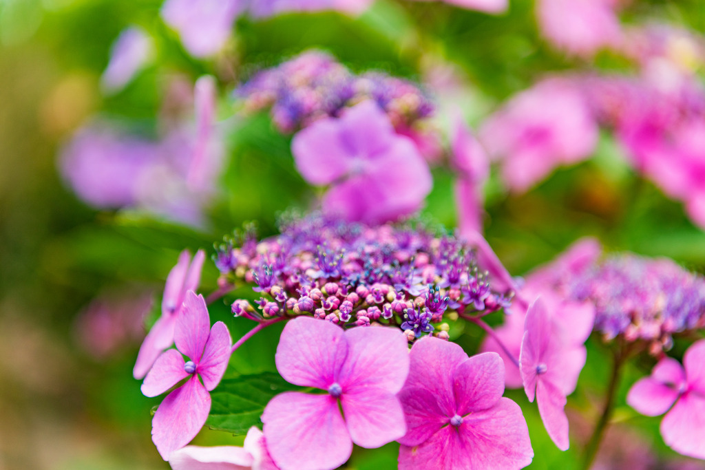 2022_07_10_HH-OEVELGOENNE_MCP0760 | Hochwertig gedruckte Fotografien für die Wand, als Kalender und zum Verschenken. Hamburg & Norddeutschland und überall wo ich mit der Kamera unterwegs war.