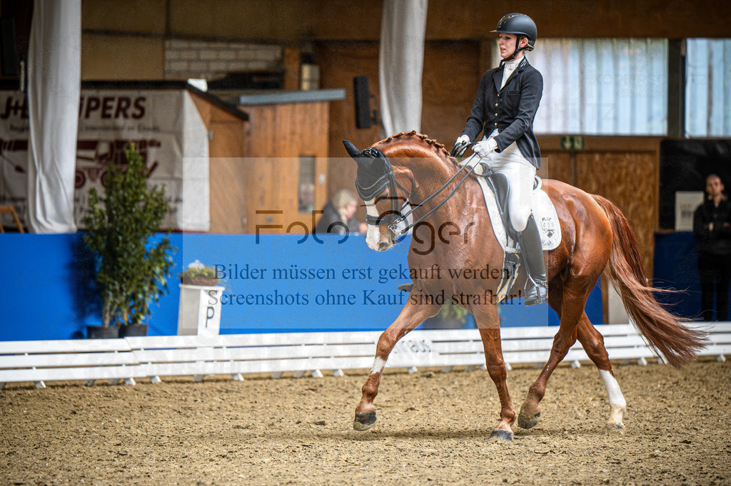 DOS_1822 | Entdecke hochwertige Reitturnierfotos von Foto Oger. Professionell, emotional und authentisch – jetzt Lieblingsmomente im Shop bestellen.Deutschlandweite Turnierfotografie. - Realisiert mit Pictrs.com