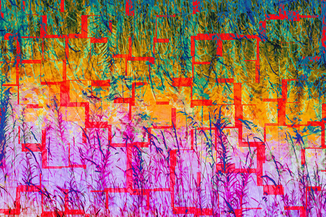 Digital Field | In this highly abstract composition, nature defies gravity. Wild flowers and grass grow from both below and above towards the center. Horizontal color shifts enhance the surreal vibe, while a red tile pattern adds to the mystery. Make this mind-bending creative artwork your own! This is a preview image. The original has a resolution of 10630 x 7087 px. - Realisiert mit Pictrs.com