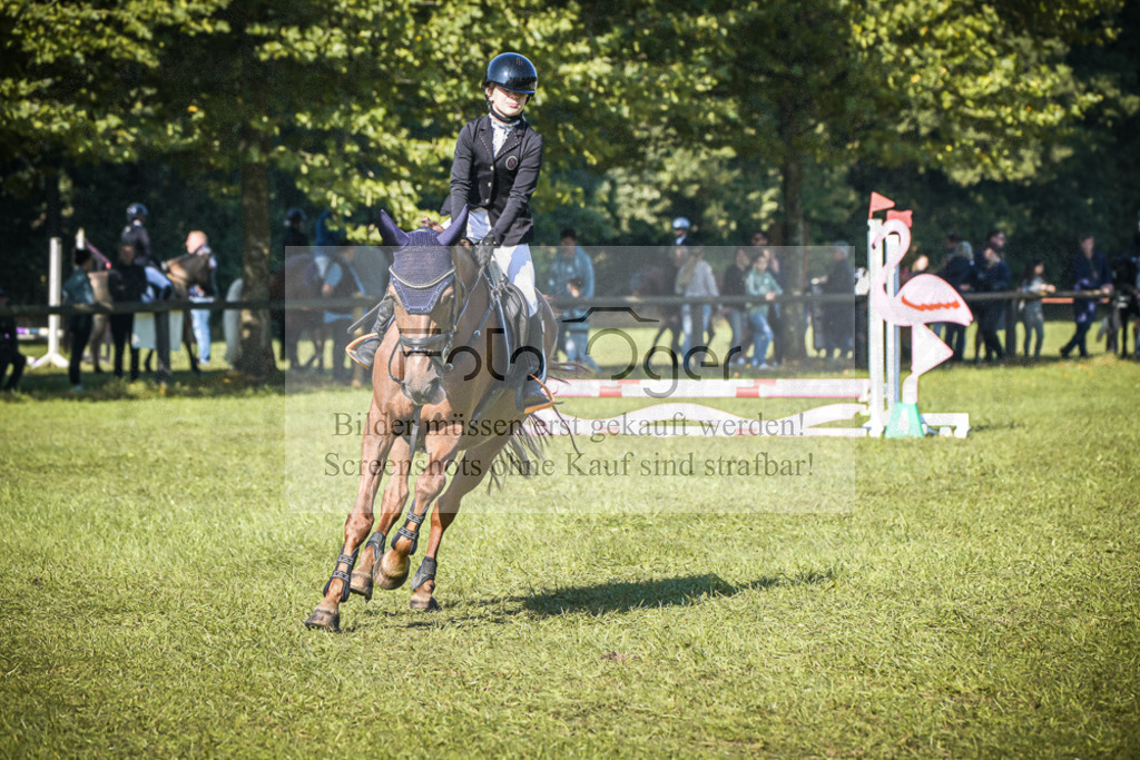 DOS_0465 | Entdecke hochwertige Reitturnierfotos von Foto Oger. Professionell, emotional und authentisch – jetzt Lieblingsmomente im Shop bestellen.Deutschlandweite Turnierfotografie. - Realisiert mit Pictrs.com