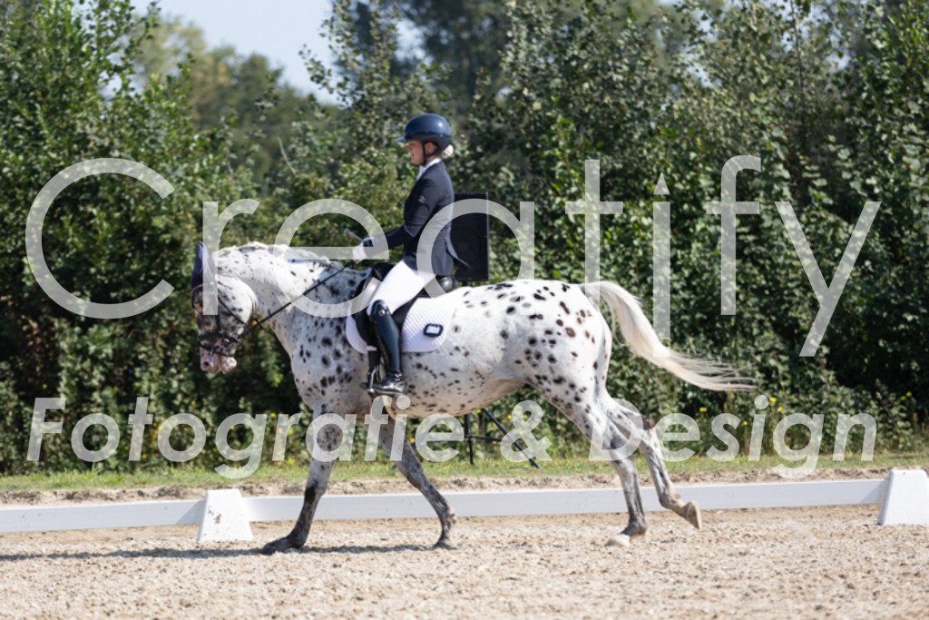 IMG_4685 | Creatify Fotografie