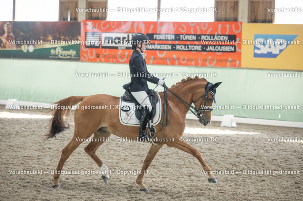 _D5A2595 | Emotionale Pferde- & People-Fotografie rund um Heidelberg, Leimen & Umgebung. Natürliche Fotos von Pferd, Mensch & Familie. Jetzt Termin sichern!