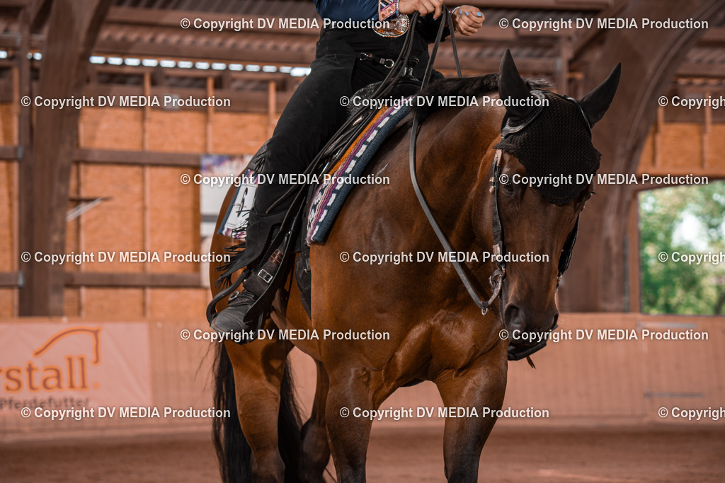 NE100241 | dv-media-shop - Realisiert mit Pictrs.com