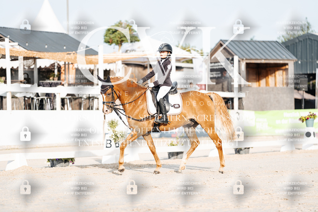 CK903717 | Turnierfotografie Pferdefotografie Trier Rheinland-Pfalz Pferdesport Reitsport Tierfotografie Sportfotografie Pferdevideo Pferdevideografie Equestrianvideography equestrianphotography  - Realisiert mit Pictrs.com