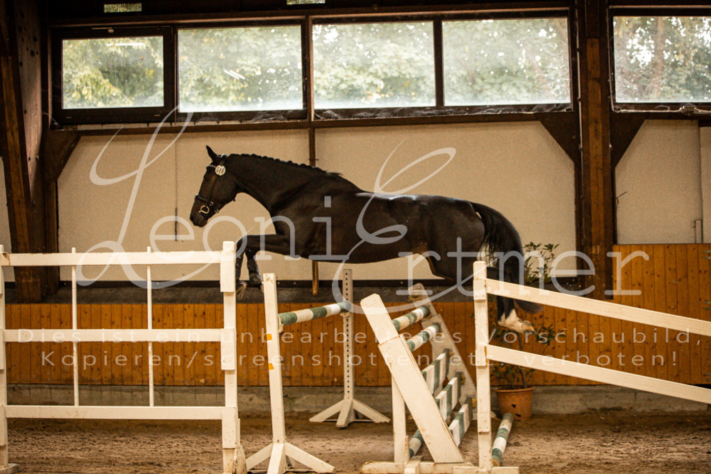 2FS_L00059 | Leoni Ertmer Photography - Realisiert mit Pictrs.com