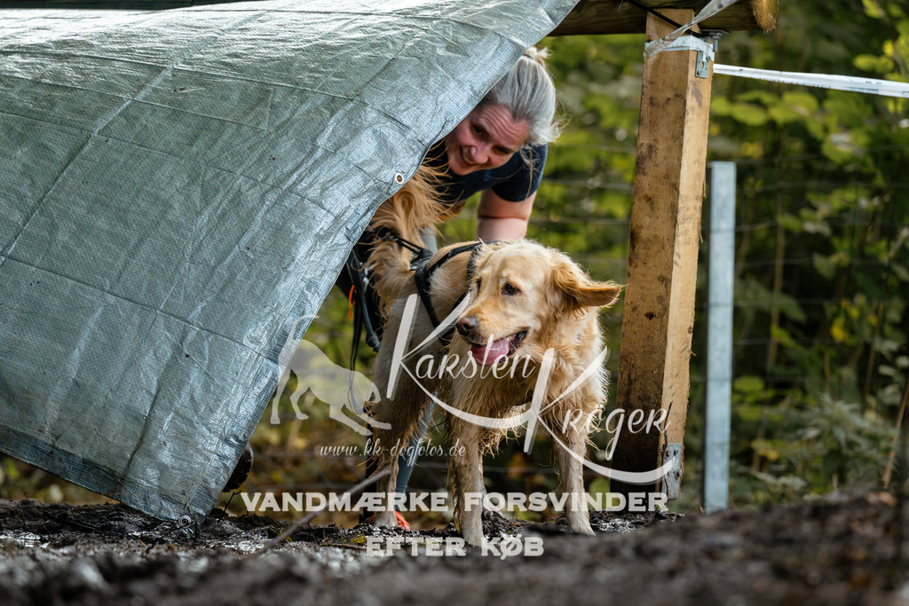 1416DZ6_1455Z6 | kk-dogfotos