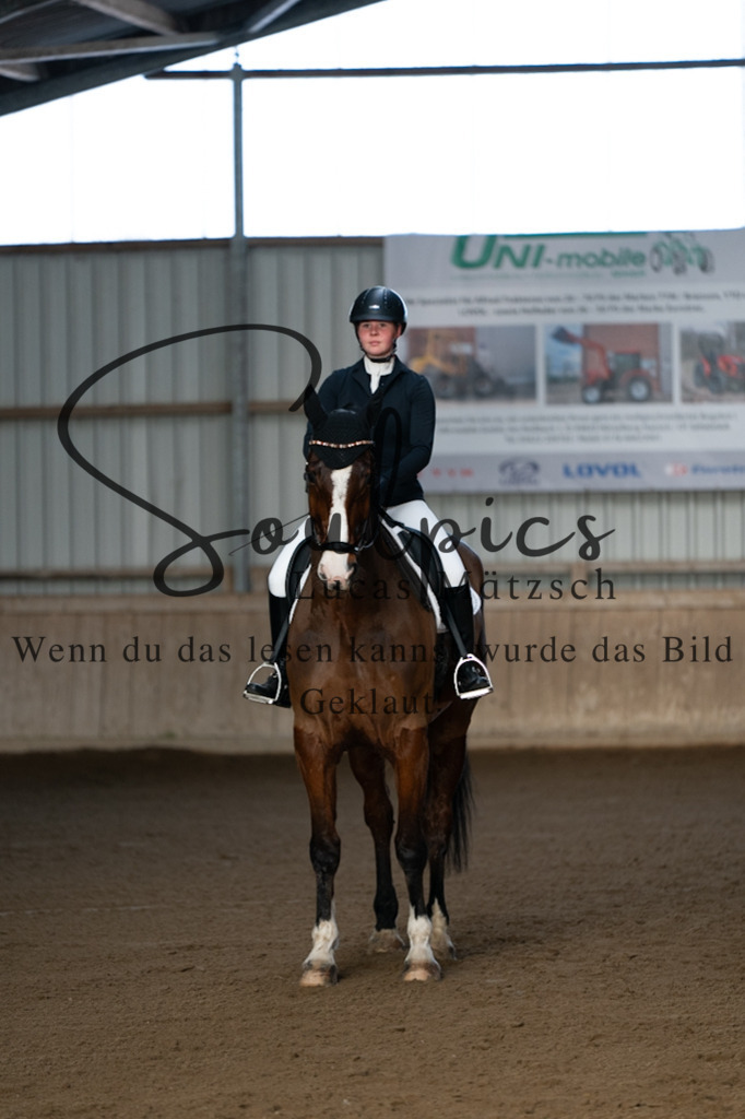 A7V05708 | Pferdefotograf