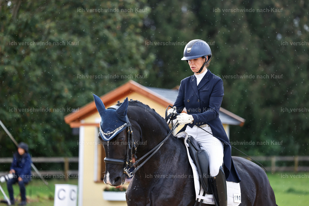 10-190-ST.GEORG SPECIAL -StoibPH-3220 | working equitationturnier fotograf videograf stoibphotography marixx film working equitation deutschland reitsport turnierfotografie eventfotografie equestrian events