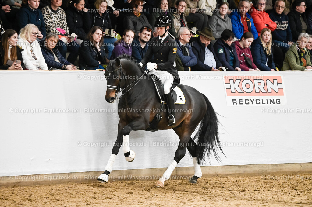 20260307_Hengstvorstellung-Marbach_0205 | equistock
