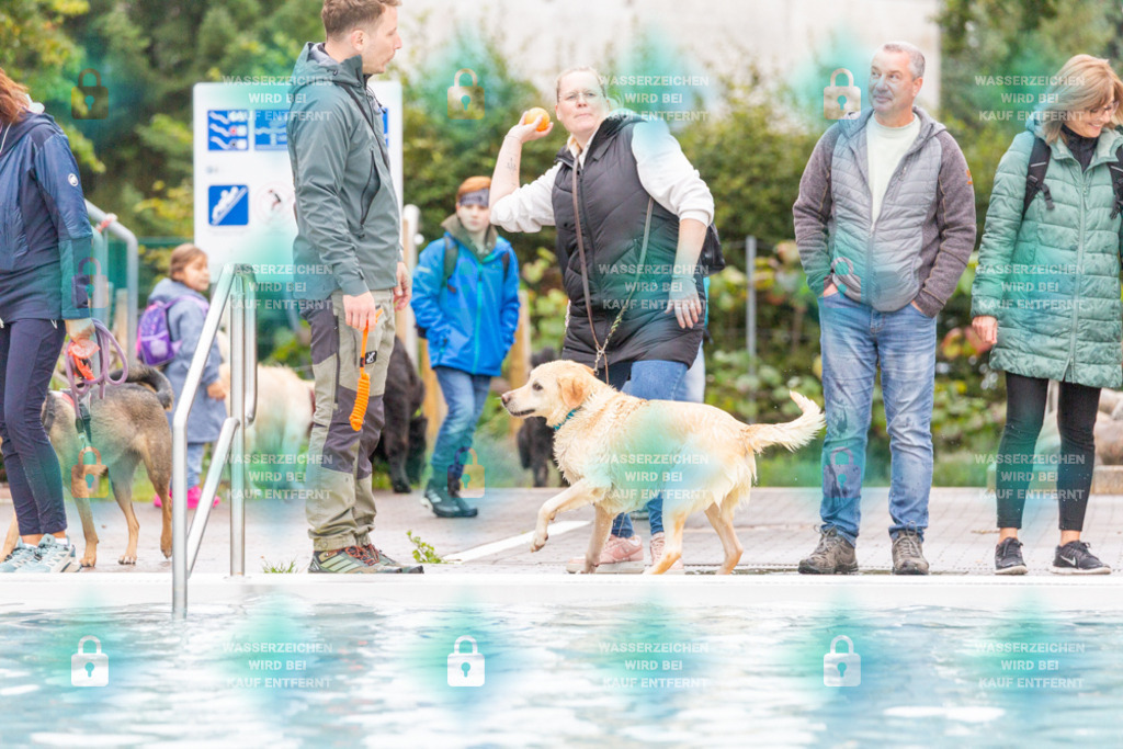 _HP_7178_1000o | HetPix, HetPix Fotodesign, Fotografie, Fotodesign, Webshop, Sportfotografie, Portraitfotografie, Onlineshop, Sportfotografie, Polch, Motorsportfotografie, Eventfotografie