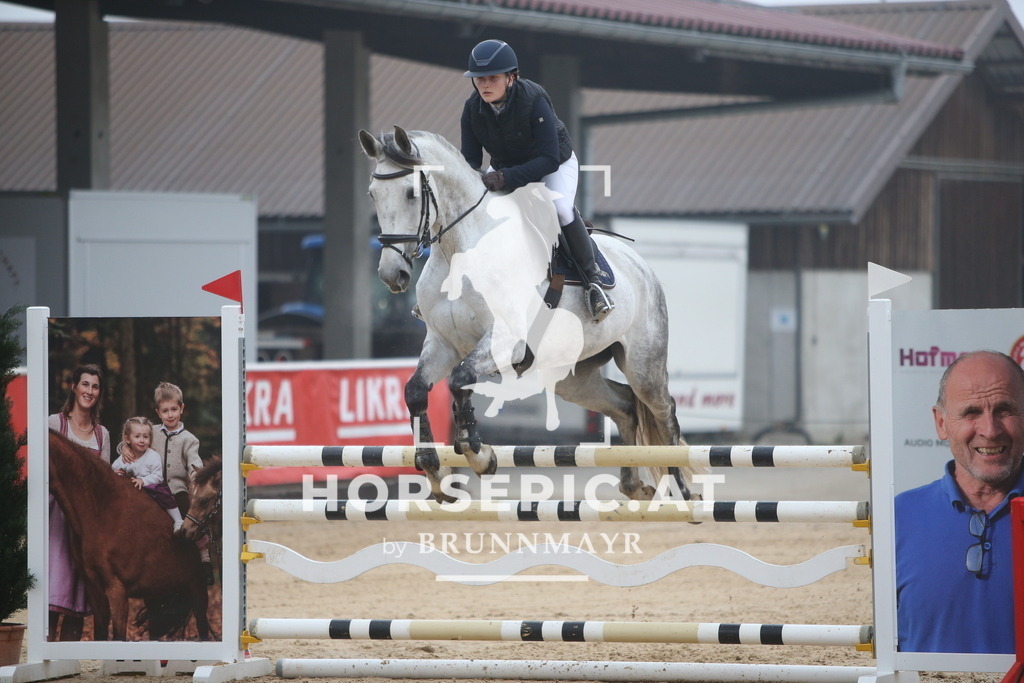 PP012890 | Willkommen bei Brunnmayr - Design & Fotografie – Ihrem Spezialisten für Reitturniere und Pferdeveranstaltungen in Oberösterreich, Salzburg und Bayern! Seit über 17 Jahren sind wir leidenschaftlich dabei.