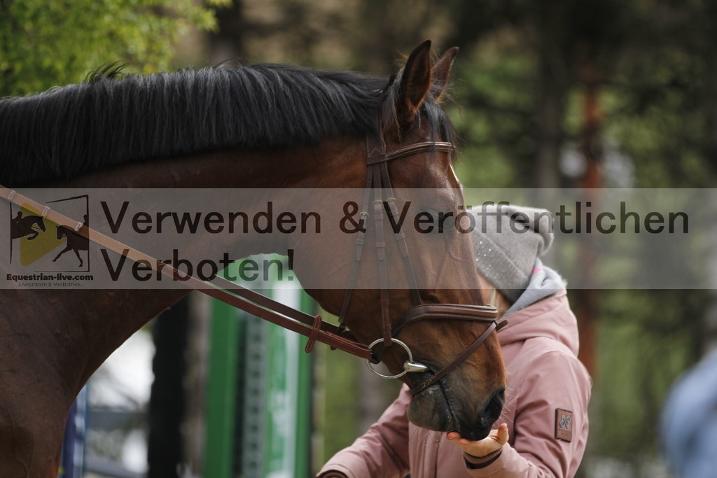 _MG_0821 | equestrian-live-com