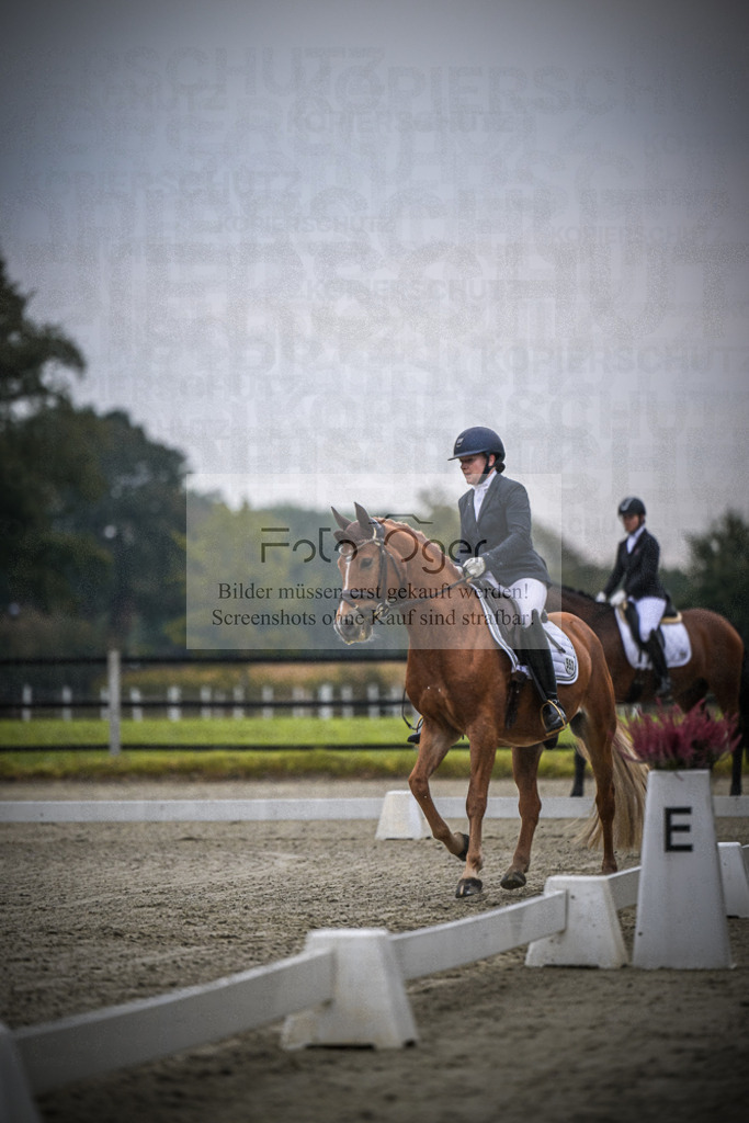 DOS_0385 | Entdecke hochwertige Reitturnierfotos von Foto Oger. Professionell, emotional und authentisch – jetzt Lieblingsmomente im Shop bestellen.Deutschlandweite Turnierfotografie. - Realisiert mit Pictrs.com