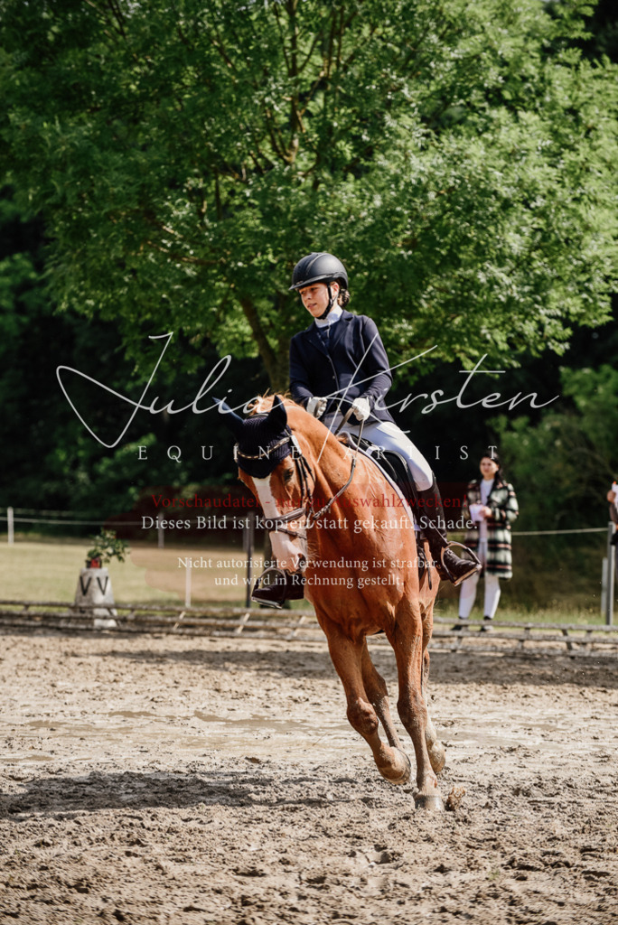 DSC_9989 | Pferde- und Turnierfotografie in Westsachsen. Pferdeportraits, Auftragszeichnungen und intuitive Kunst.