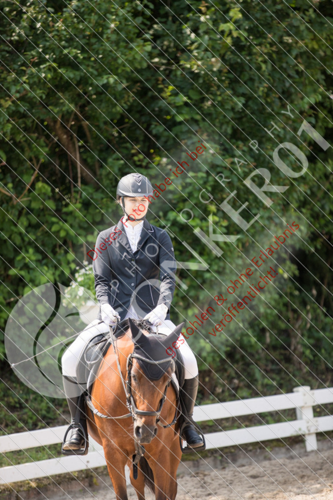 IMG_3442 | Sport-, Event- und Tierfotos in Profiqualität. Einfach auswählen, bestellen und herunterladen. Dein Moment – perfekt festgehalten.