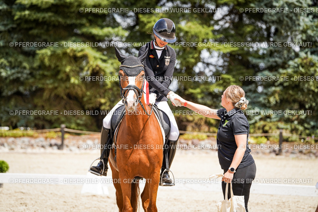 DSC01798 | Pferdegrafie