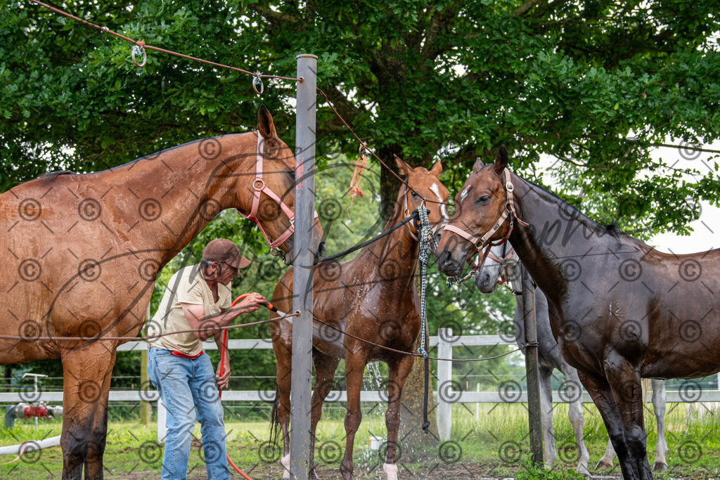 POL_3752 | andre_photographic