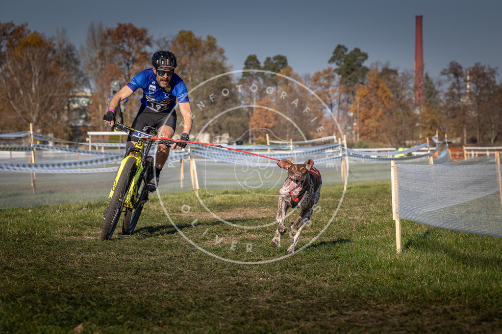 CaniXpix_0L8A6049 | Hundefotografie, Tierfotograf, Pfotenfotografie, Fotoshooting Hund, Hunde Portrait, Hundesport, Hundeportraits, Heideshooting, Hunde, Sportfotograf, Hundefotograf, Turnierhundsport, THS,  - Realisiert mit Pictrs.com