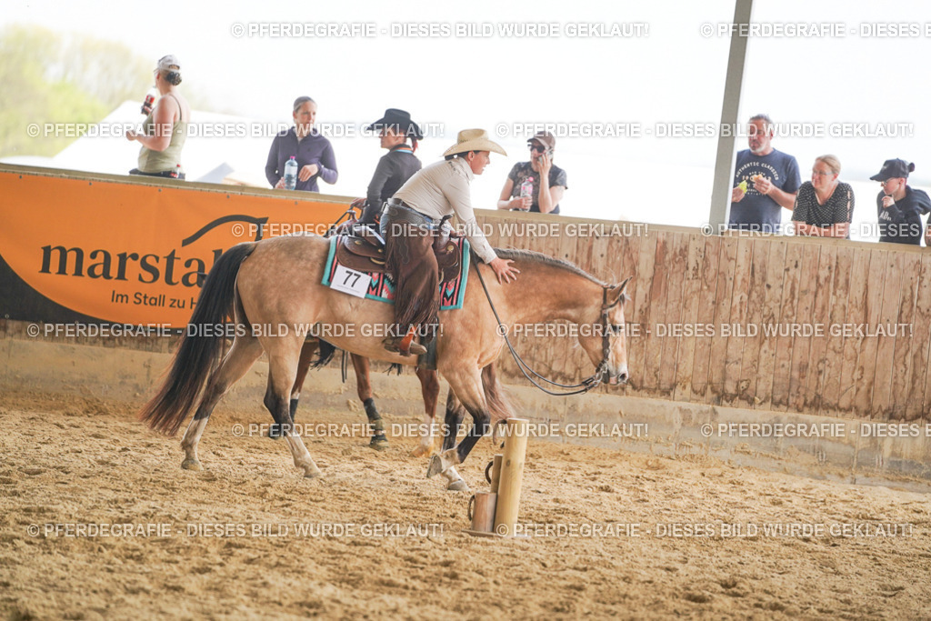 DSC01915 | Pferdegrafie