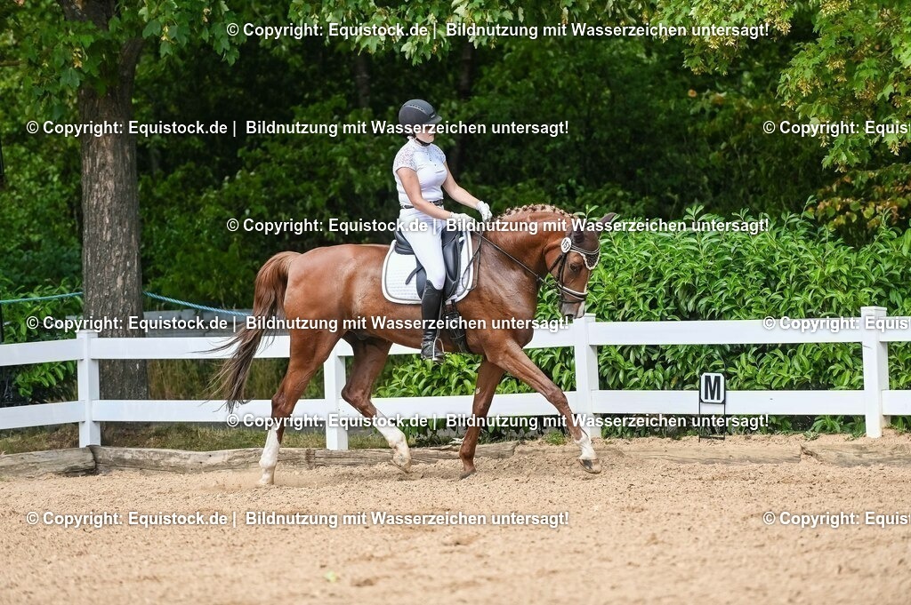 20230715_02_Dressurreiterprüfung Kl.L_0247 | equistock