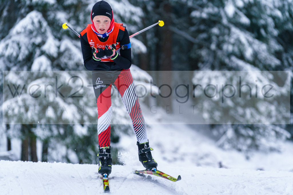 Thüringer Meisterschaften Biathlon - Scheibe-Alsbach | Scheibe-Alsbach am 28. + 29. Januar 2023