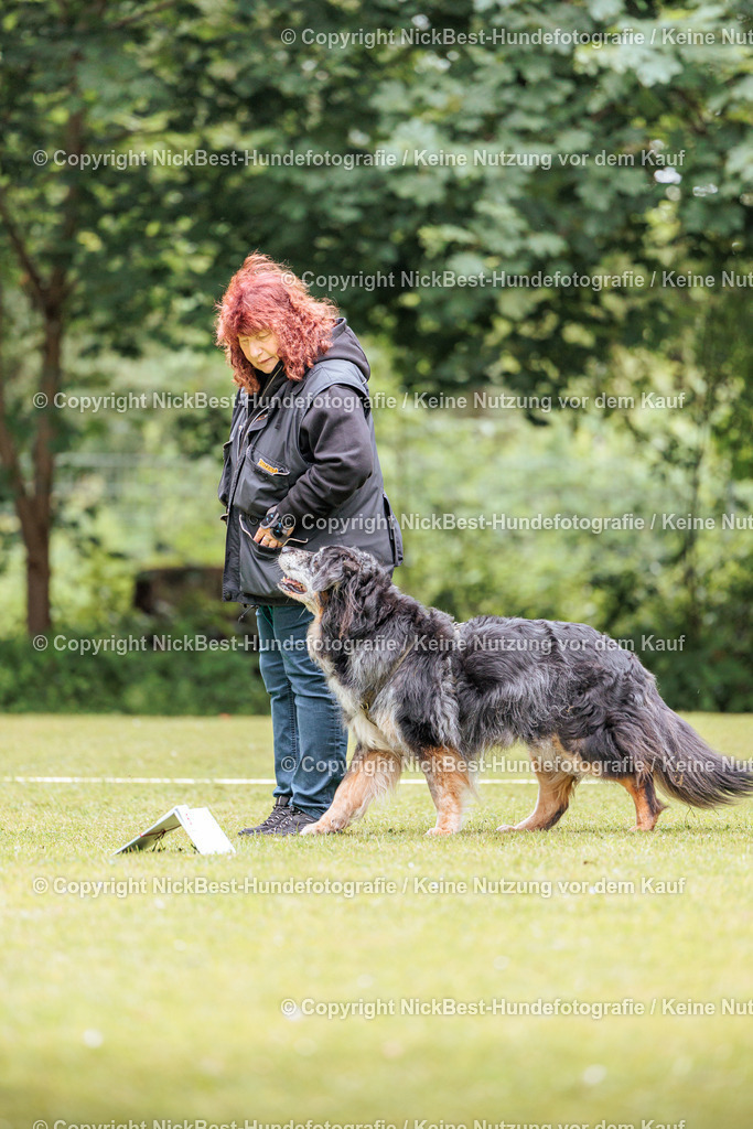 RO-Blumenthal-2026-Nickbest-Hundefotografie-1811 | Dein Hund! Dein Moment! Deine Erinnerungen! Hundefotografie in Bremen Blumenthal. Ich fange die besonderen Momente deines Vierbeiners ein – ob Indoor mit Blitzanlage oder in der freien Natur. Sicher dir dein Moment und dein Termin für eure Erinnerungen.