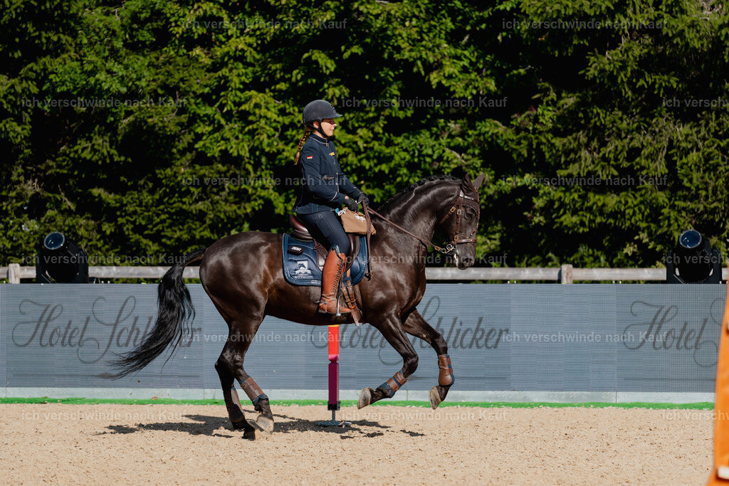 Mirjam25_FHC2025-09242 | working equitationturnier fotograf videograf stoibphotography marixx film working equitation deutschland reitsport turnierfotografie eventfotografie equestrian events
