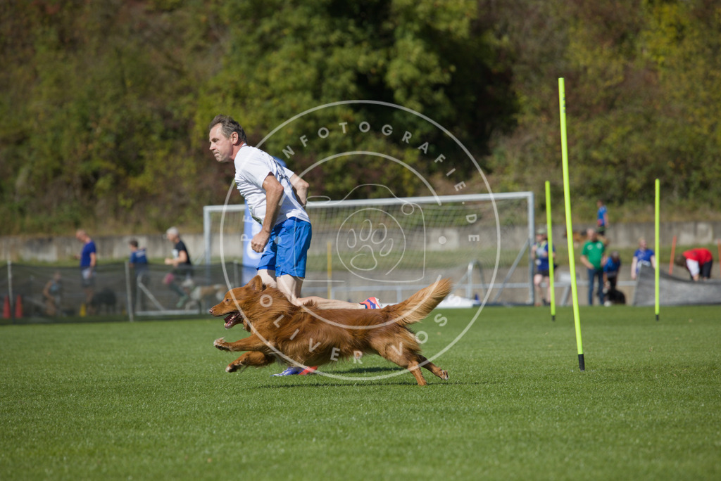 0L8A6430 | Hundefotografie, Tierfotograf, Pfotenfotografie, Fotoshooting Hund, Hunde Portrait, Hundesport, Hundeportraits, Heideshooting, Hunde, Sportfotograf, Hundefotograf, Turnierhundsport, THS,  - Realisiert mit Pictrs.com