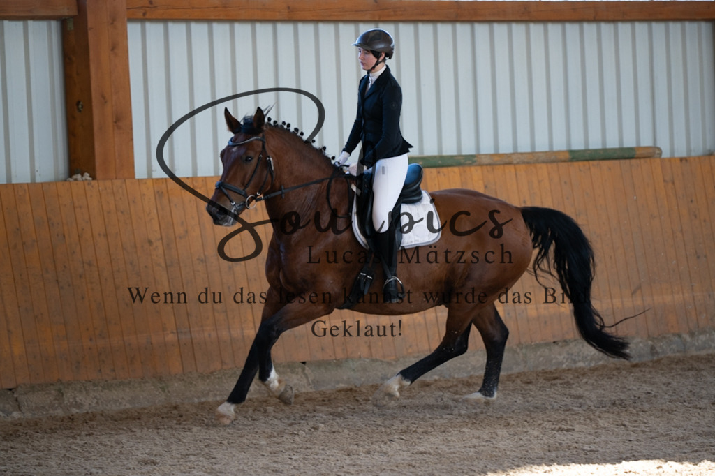 A7V01769 | Turnier/Reitfotograf