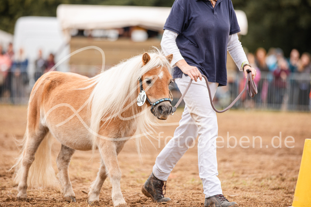 846A3743 | fotosleben - Realisiert mit Pictrs.com