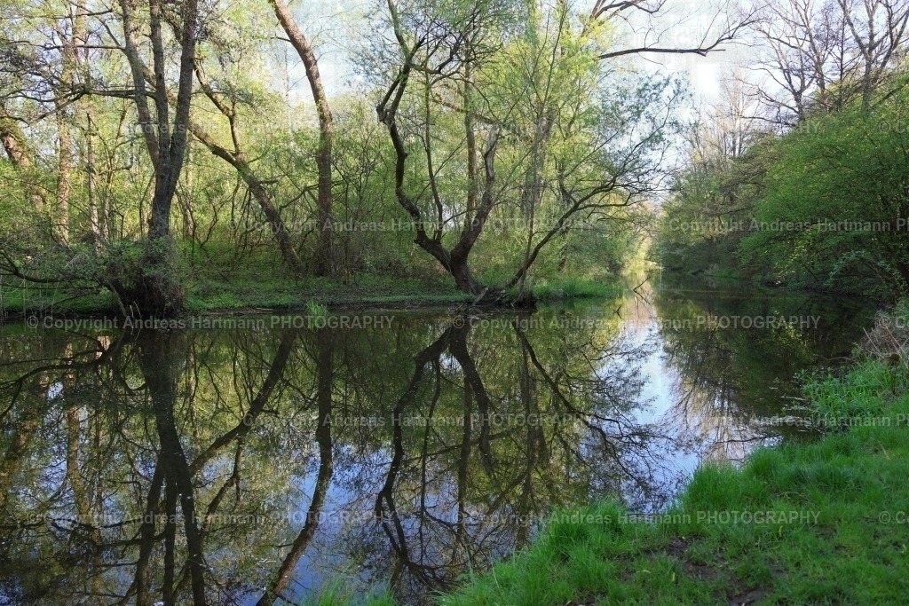 Mühlgraben Zeitz | Mühlegraben Zeitz am Elsterradweg - Realisiert mit Pictrs.com