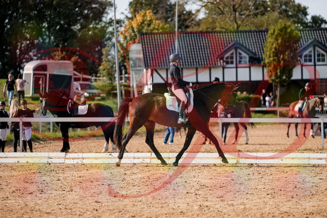 2026_10_03_Siefer-Hof_133610_Z63_96143838 | Professionelle Reitsport-, Turnier- und Eventfotografie von Robert Broda. Galerien mit ausgewählten und bearbeiteten Bildern direkt online ansehen und bestellen.