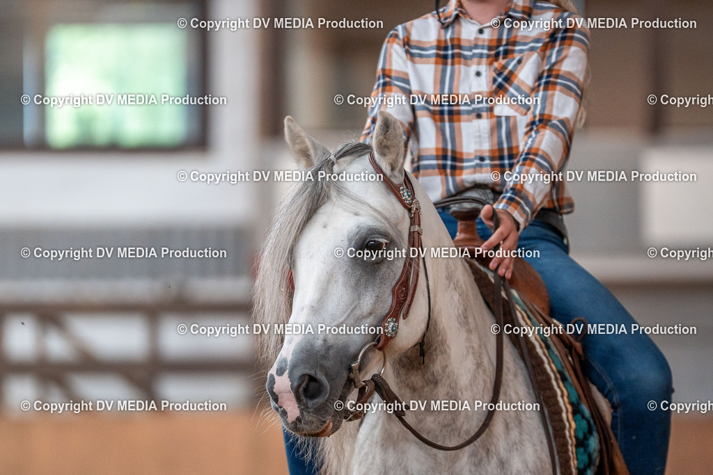 Neckargemünd Tag 2-906 | dv-media-shop - Realisiert mit Pictrs.com