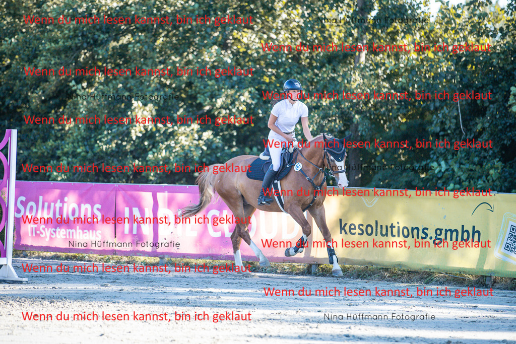 BK1A6095 | Turnierbilder Turnierfotos Nina Hüffmann Turnierfotografie Pferdefotografie Tierzeichnung Haustierzeichnung Pferdezeichnung Hundezeichnung Videograf  - Realisiert mit Pictrs.com