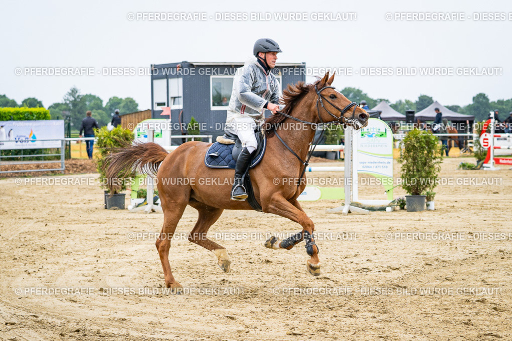 DSC08023 | Pferdegrafie